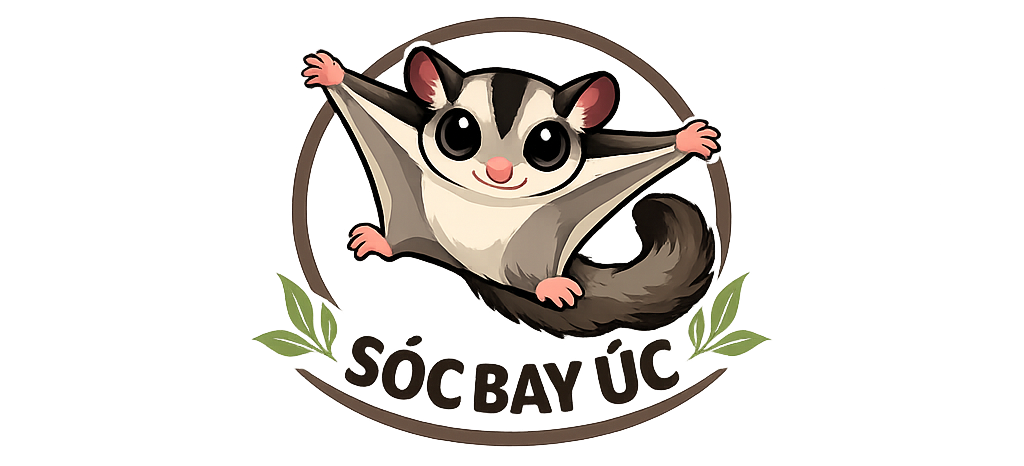 socbayuc